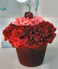 Cupcake!
