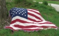 Stars and Stripes